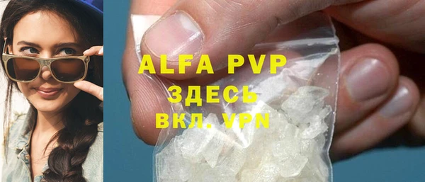 стафф Алзамай