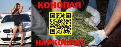 прущие крисы Мариинск