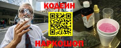 крисы Можга