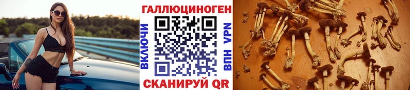 Псилоцибиновые грибы Magic Shrooms  Тулун 